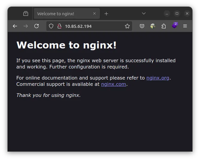 nginx greetings